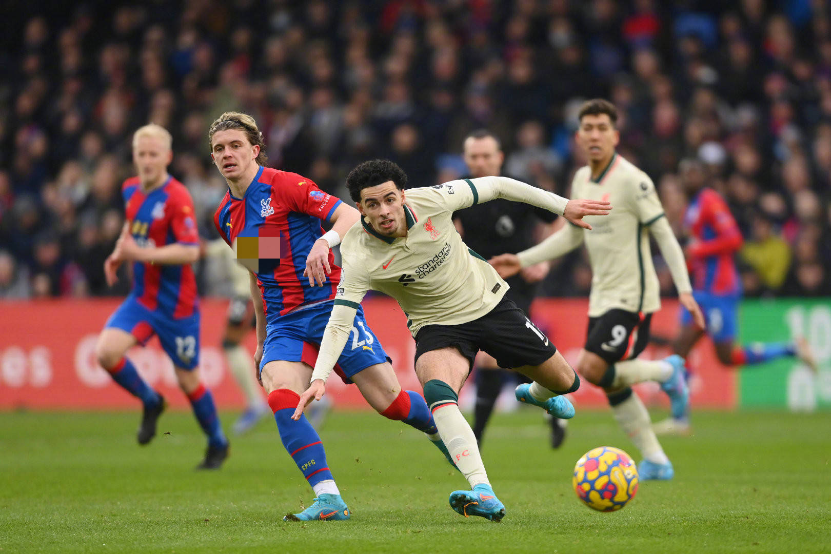 各个运动领 各个运动领